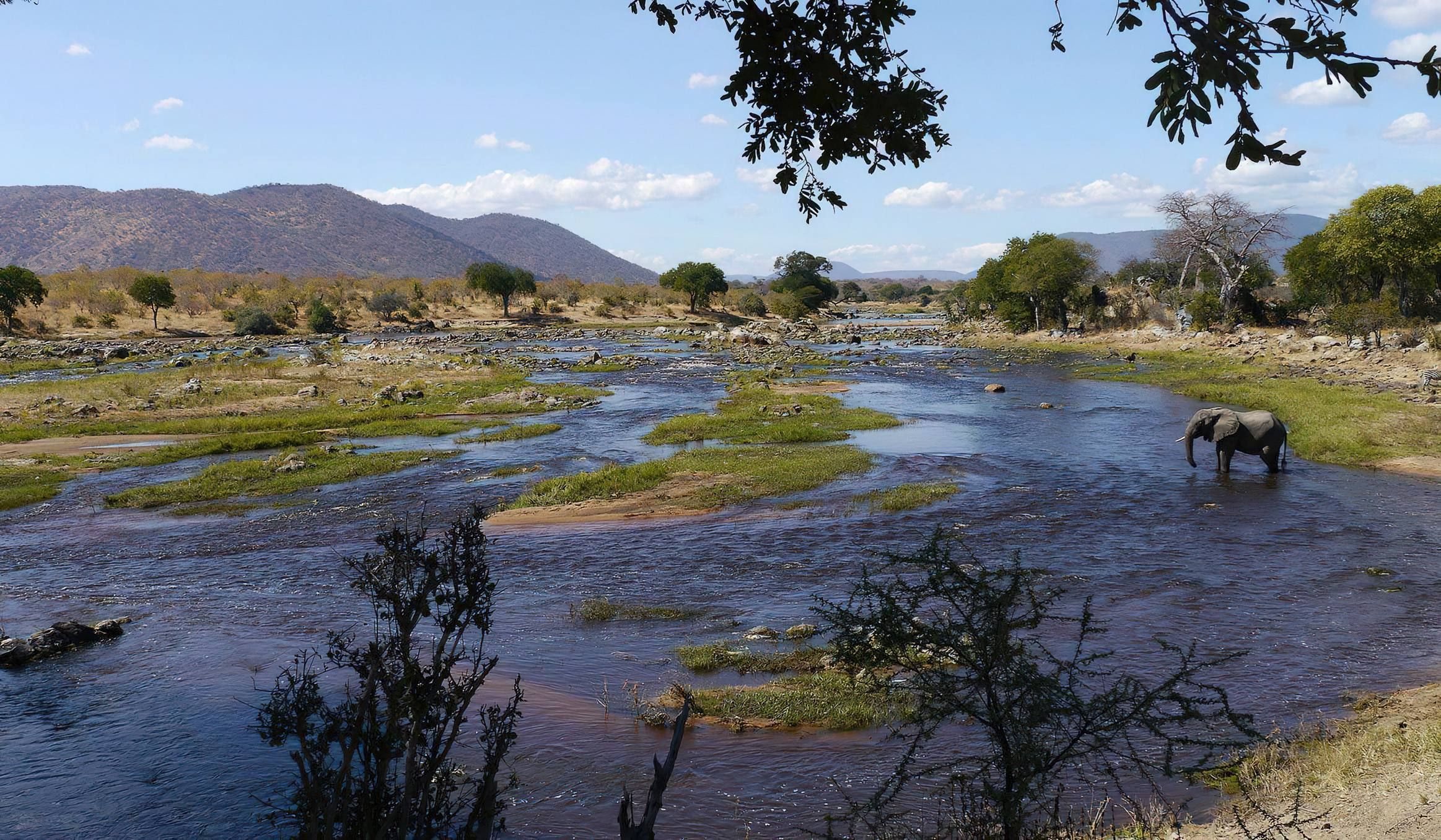 Ruaha National Park