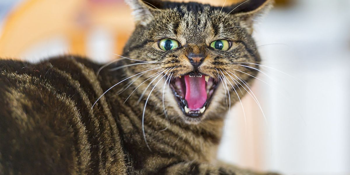 Anger