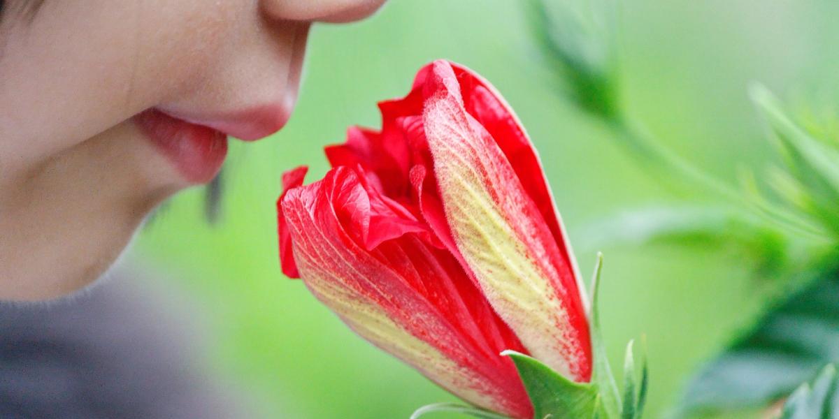 Smell the flowers: you planted them.
