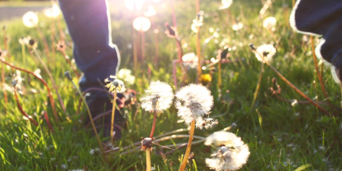 Where do the lessons of life reside?