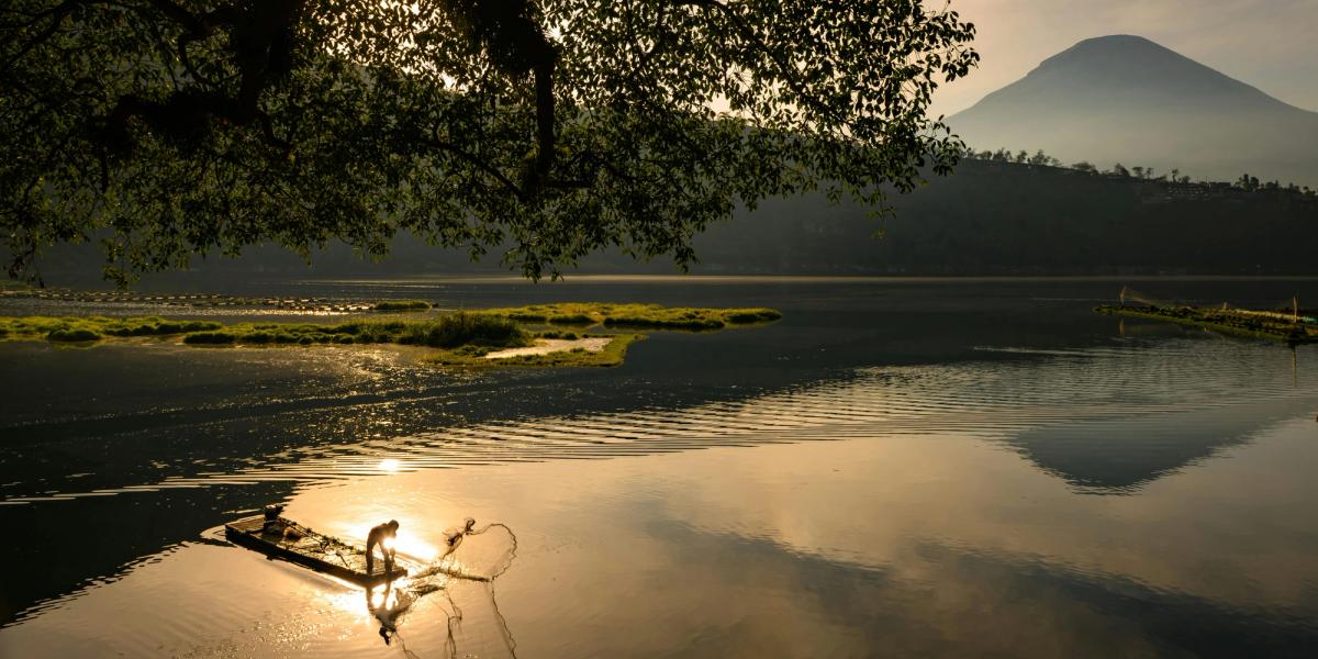 Reflection