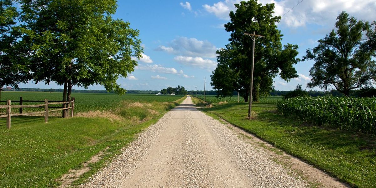 The path forward