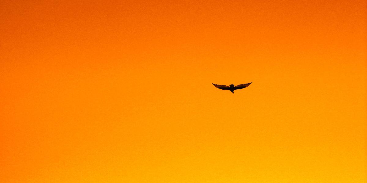 Freedom: how it all begins with a moment.