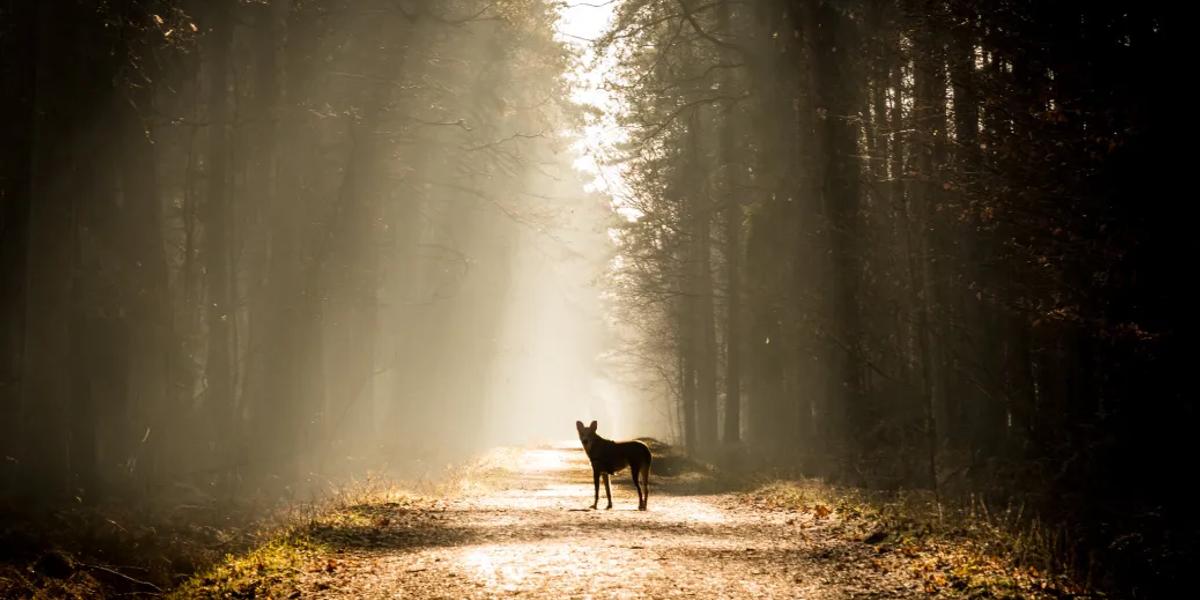 Stand in the sunlight
