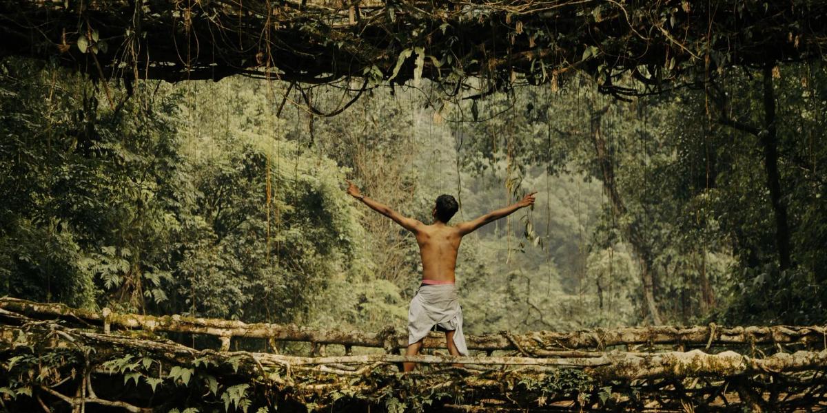 Nature and man
