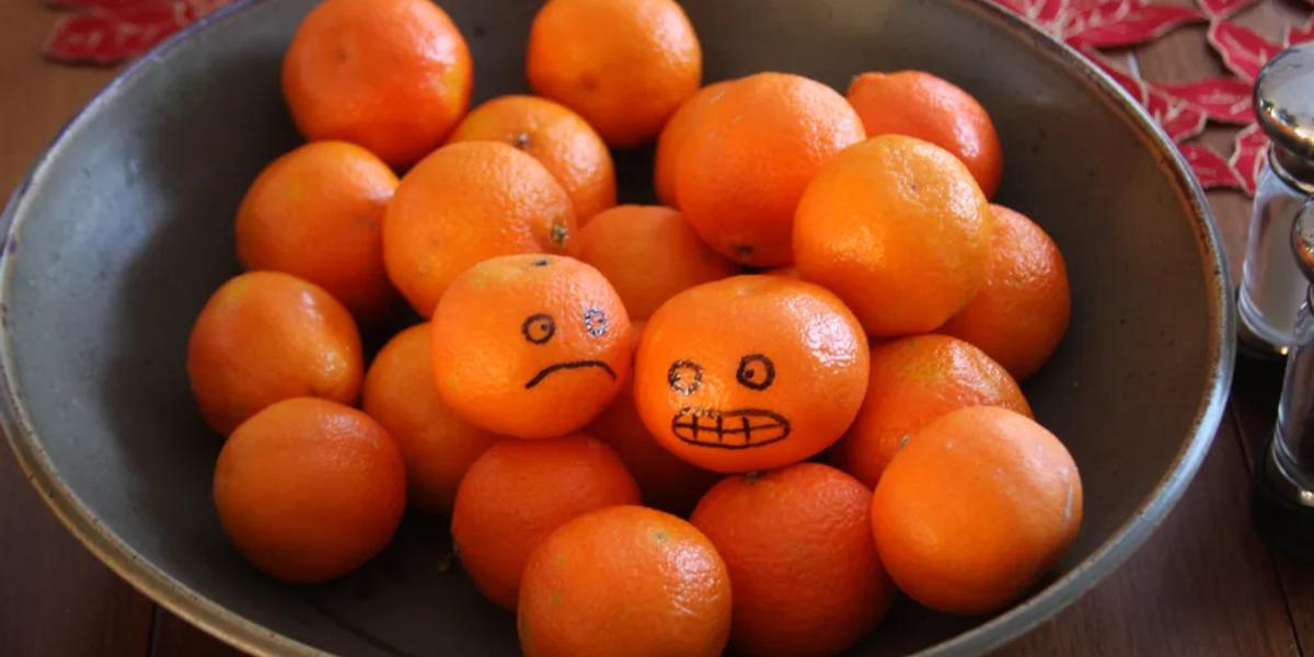 Why are you so angry?