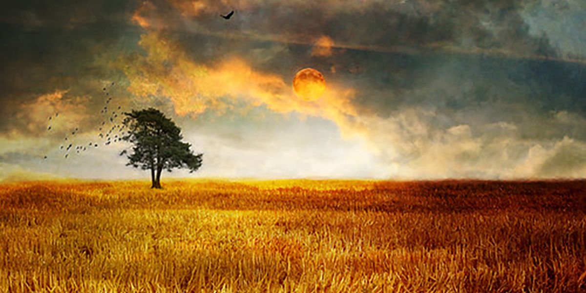 Loneliness as knowledge