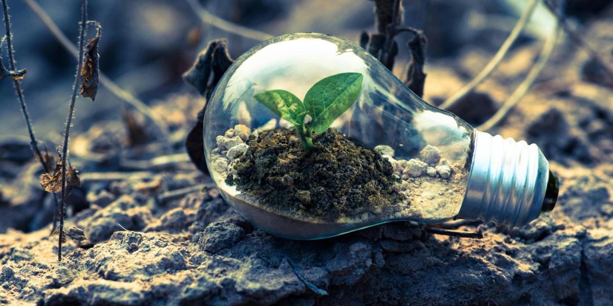 How can we truly go green?