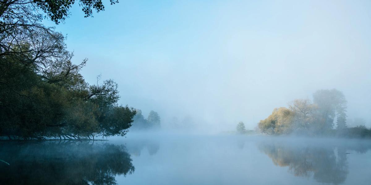 A sense of peace