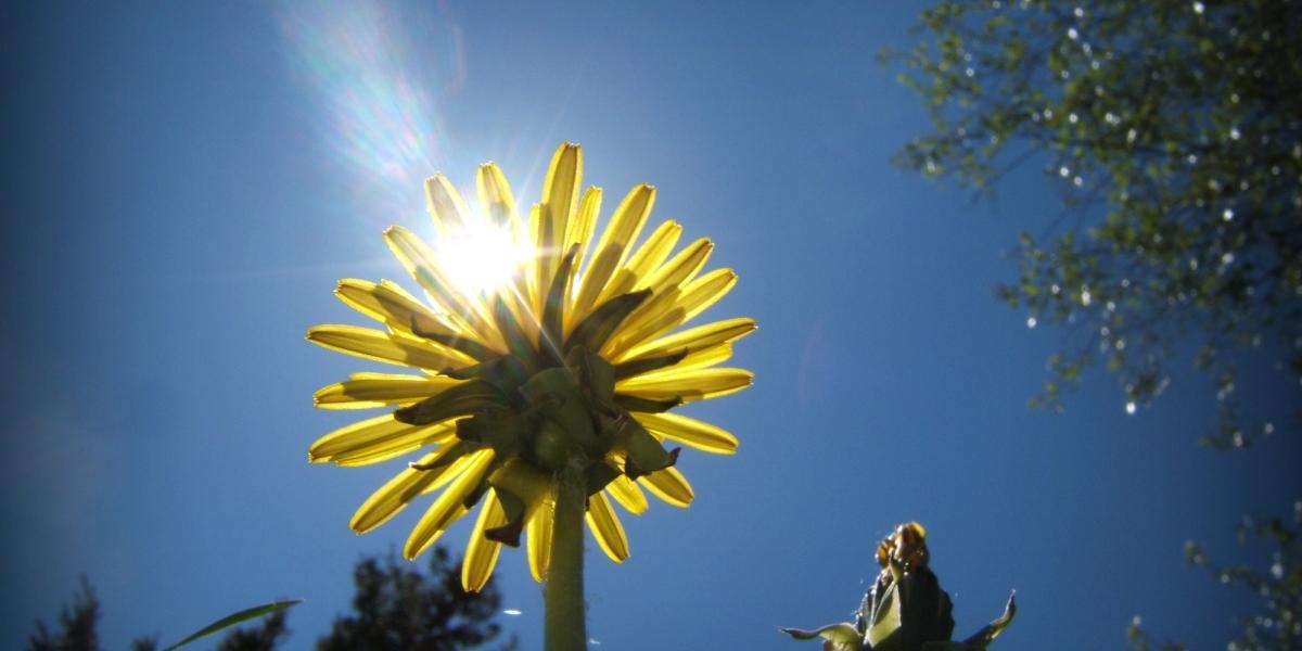 Hope or belief: the great dilemma for every being.