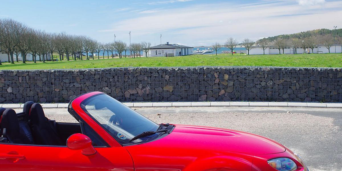Revving egos: hubris, young men, and the sports car