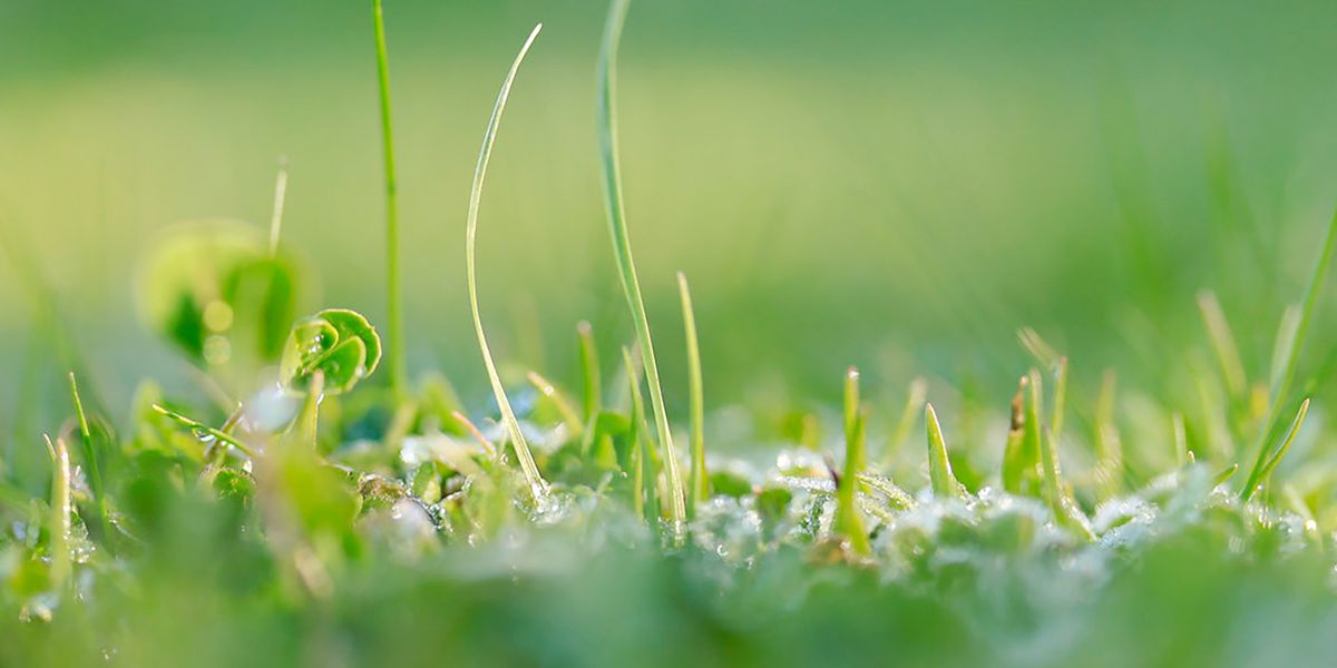 Embracing risks for personal growth