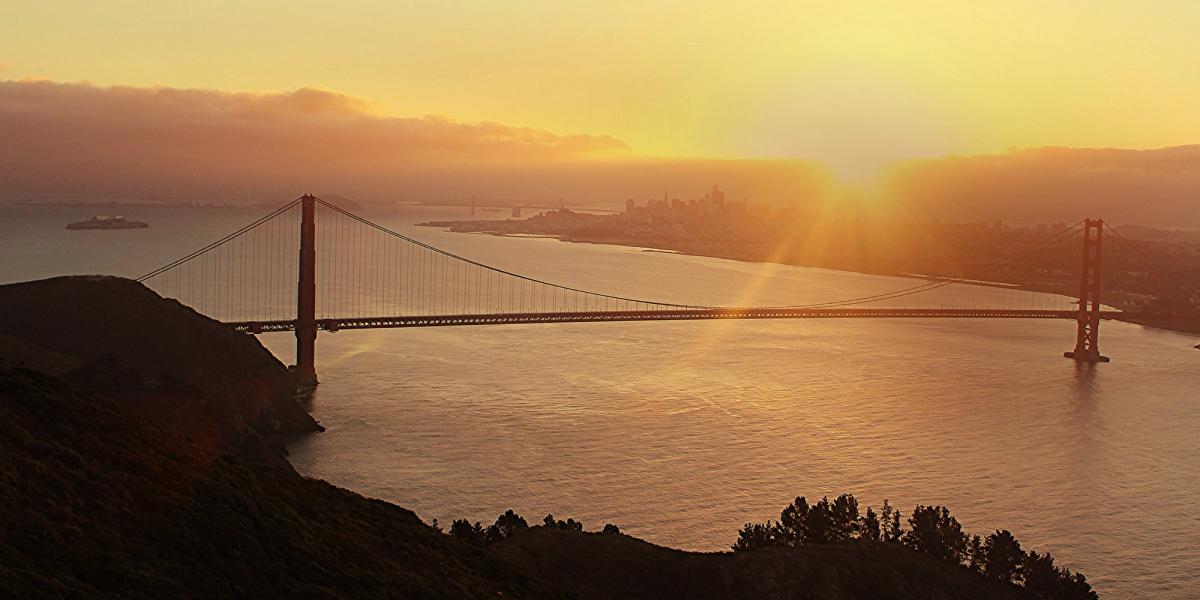 Our exciting new beginning: the New Year dawns