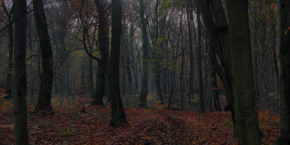 How do we recover from a sense of loss?
