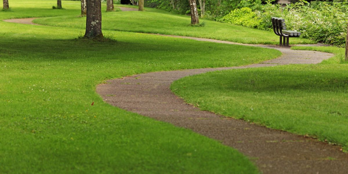 Where do the lessons of life reside?