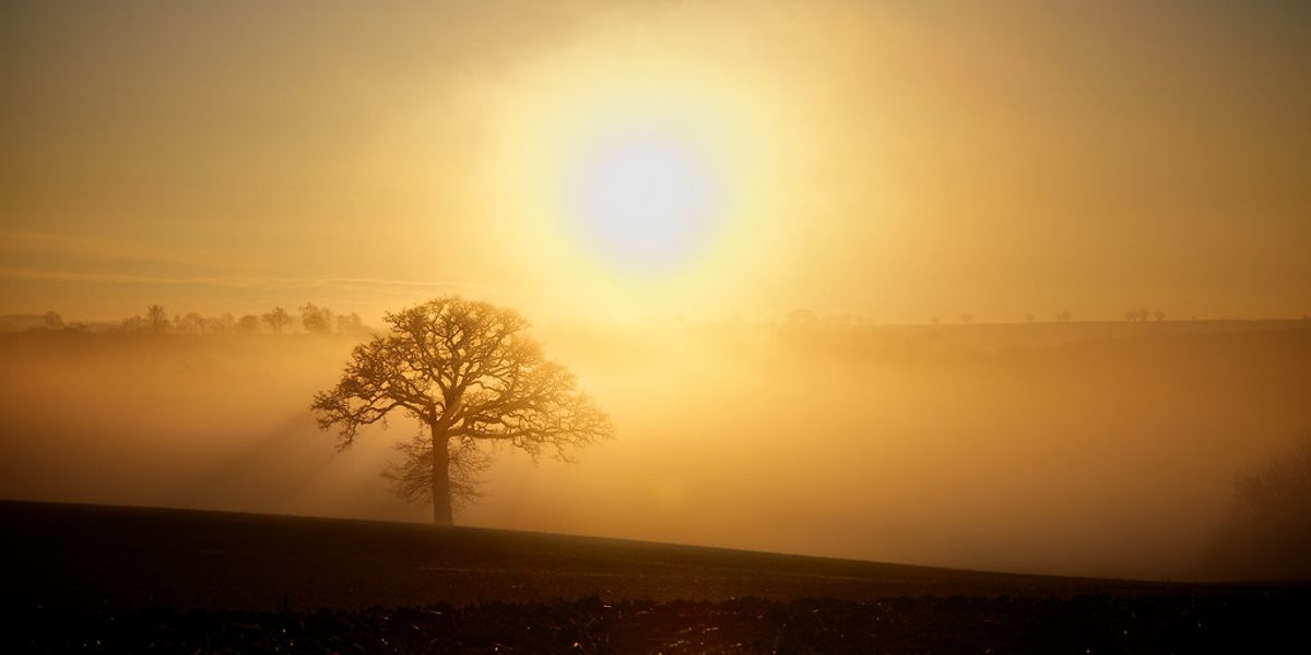 I want to live in the light