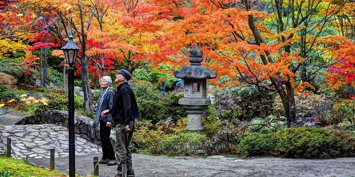 What is it like to grow old?
