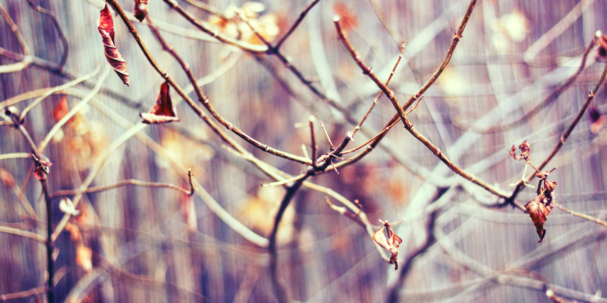 Being in the present