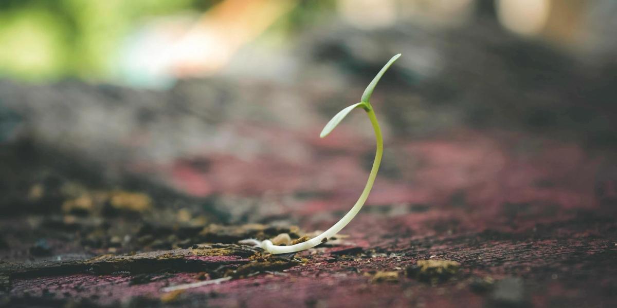 Growing up has nothing to do with age; it has to do with you