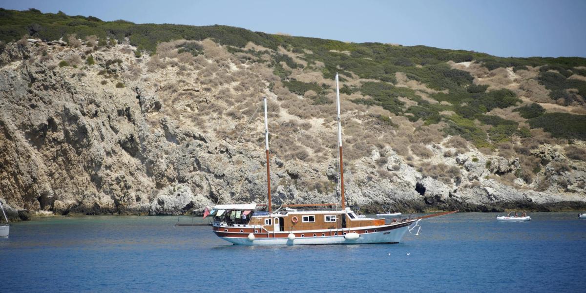 The voyage