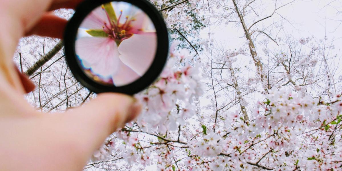 I must learn to focus