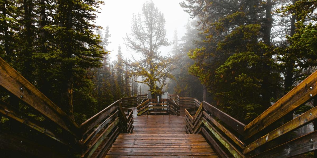 Make life an adventure