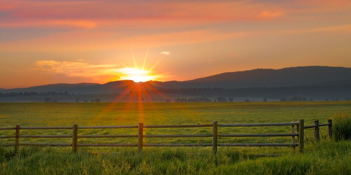 A new beginning: the new year dawns