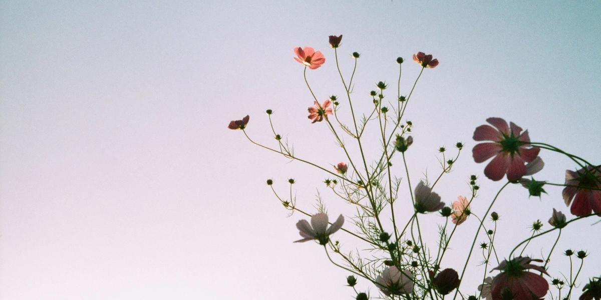Gratitude: the first real gift
