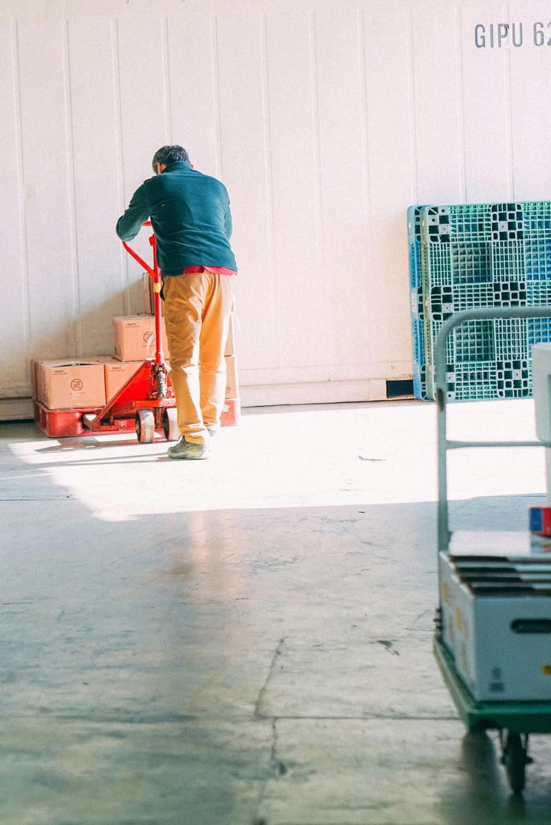 Hyper-realistic commercial photography, a sealed cardboard shipping box containing pickleball paddles being loaded into a shipping container by a forklift at a busy port terminal, golden hour sunlight casting long shadows, cranes and stacked containers in the blurred background, cinematic B2B logistics aesthetic, no text, no brand logo