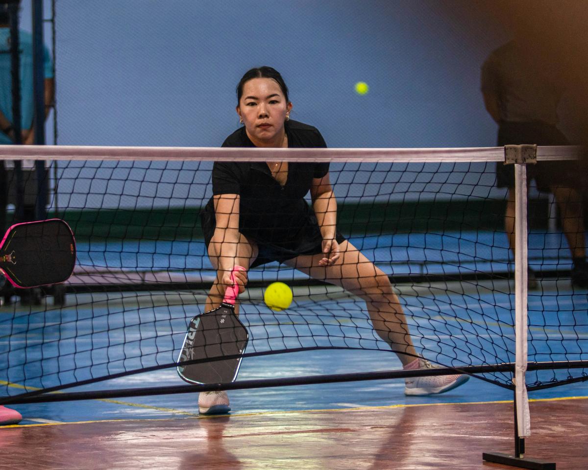 Professional photography representing Pickleball Paddles: The QC Data Suppliers Hide, high quality, no text
