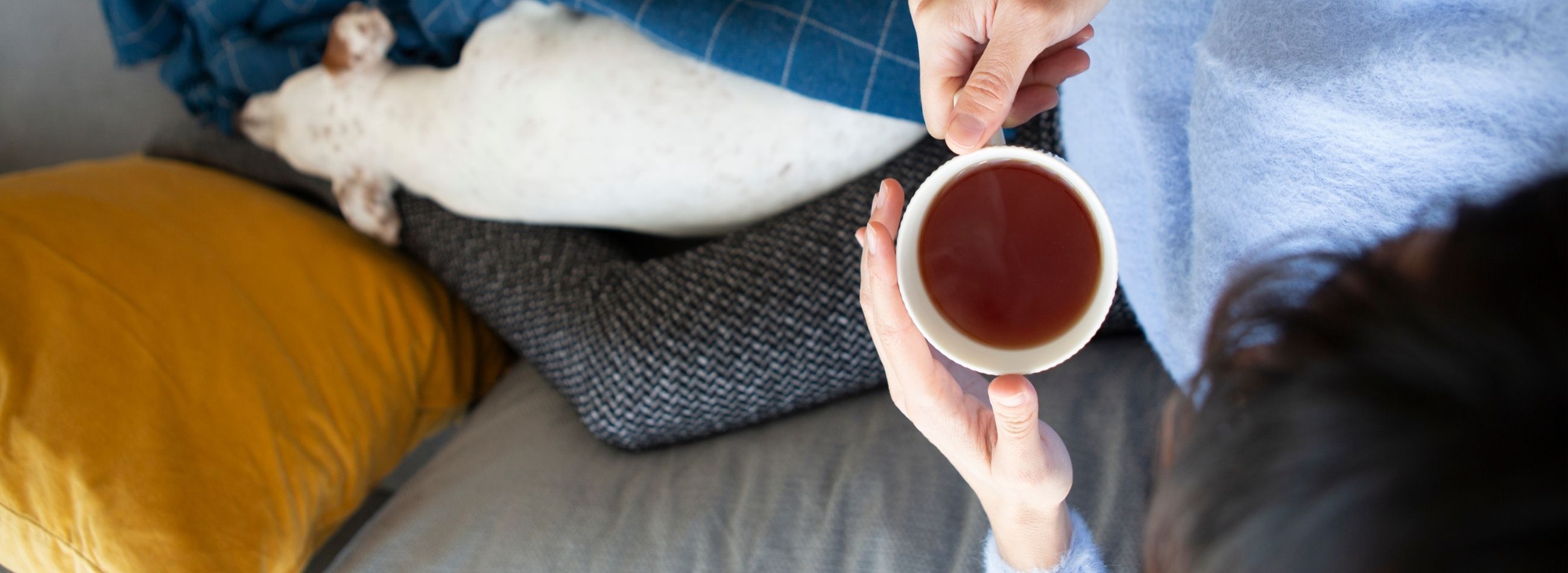 How to Grow Your Disposable and Discretionary Hometap