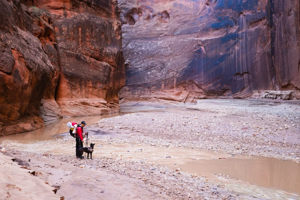 Two hikers and a dog crossing a wide gravel bar where the canyon opens to the river