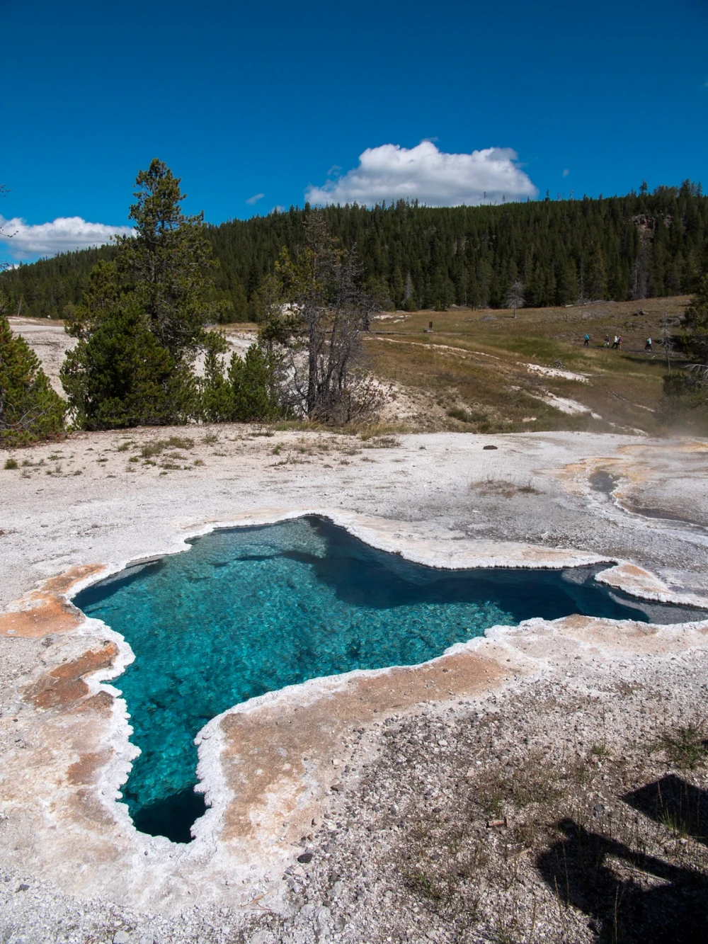 A deep teal hot spring with a scalloped white rim against a forested hillside and blue sky