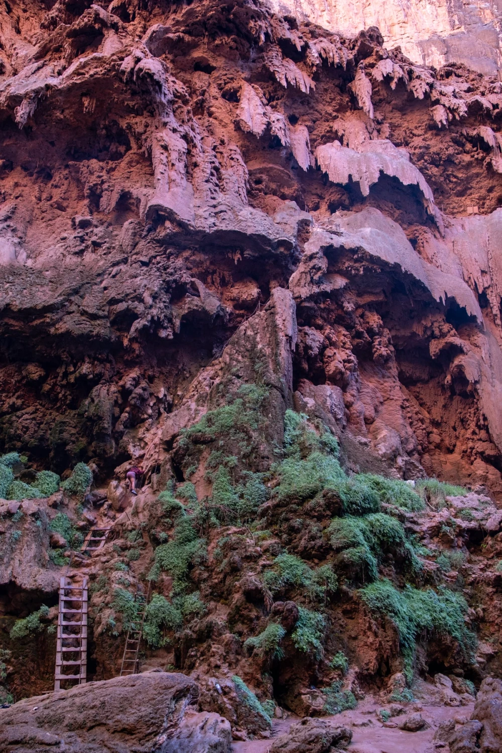 Wooden ladders bolted to a travertine cliff draped in hanging greenery at Mooney Falls, a tiny figure for scale