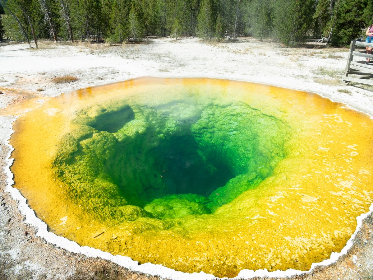 Morning Glory Pool, a hot spring ringed in yellow and orange fading to a deep green-blue at its center