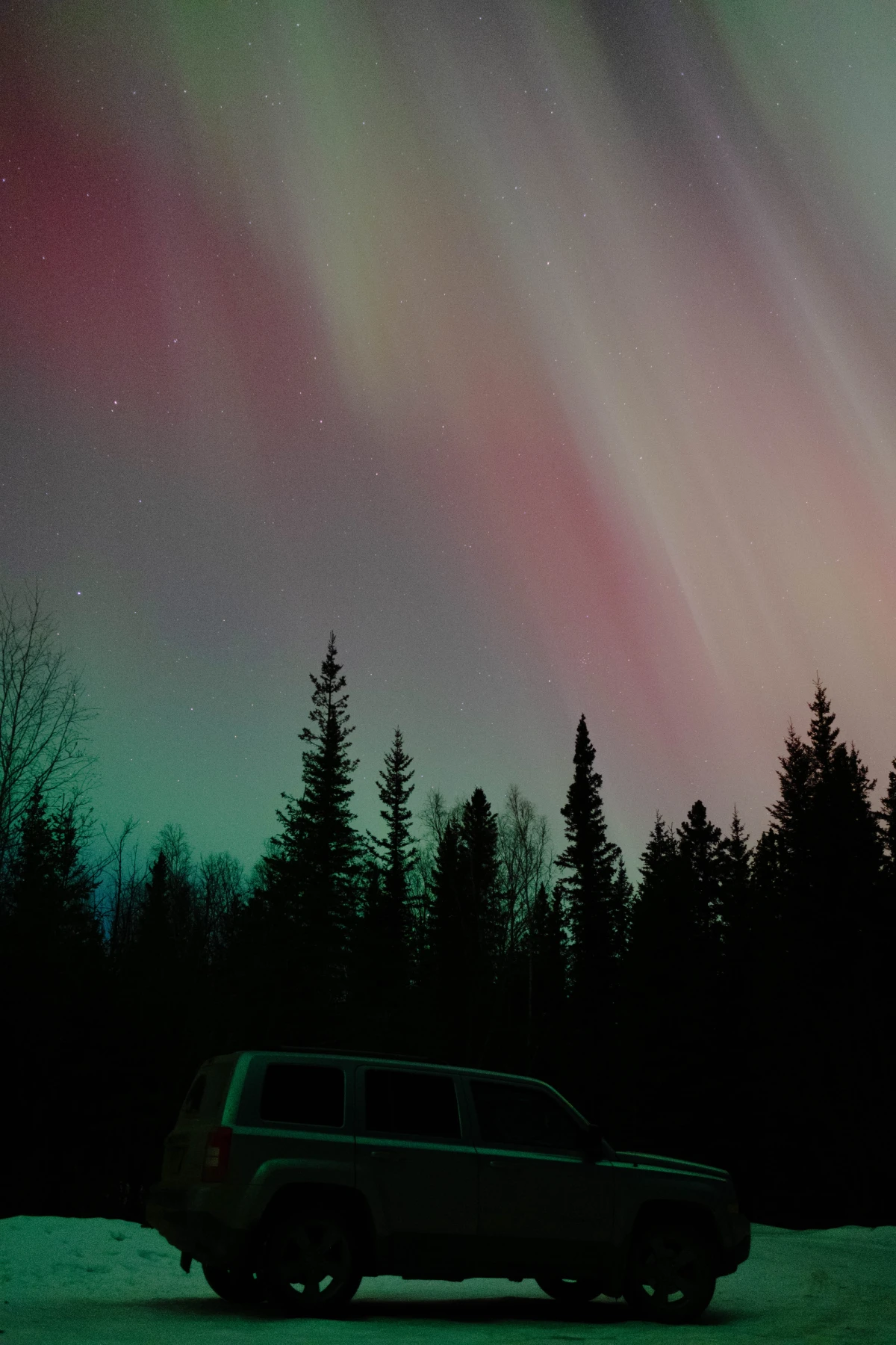 Green and red aurora over a row of silhouetted spruce, the rental car parked on the snow below