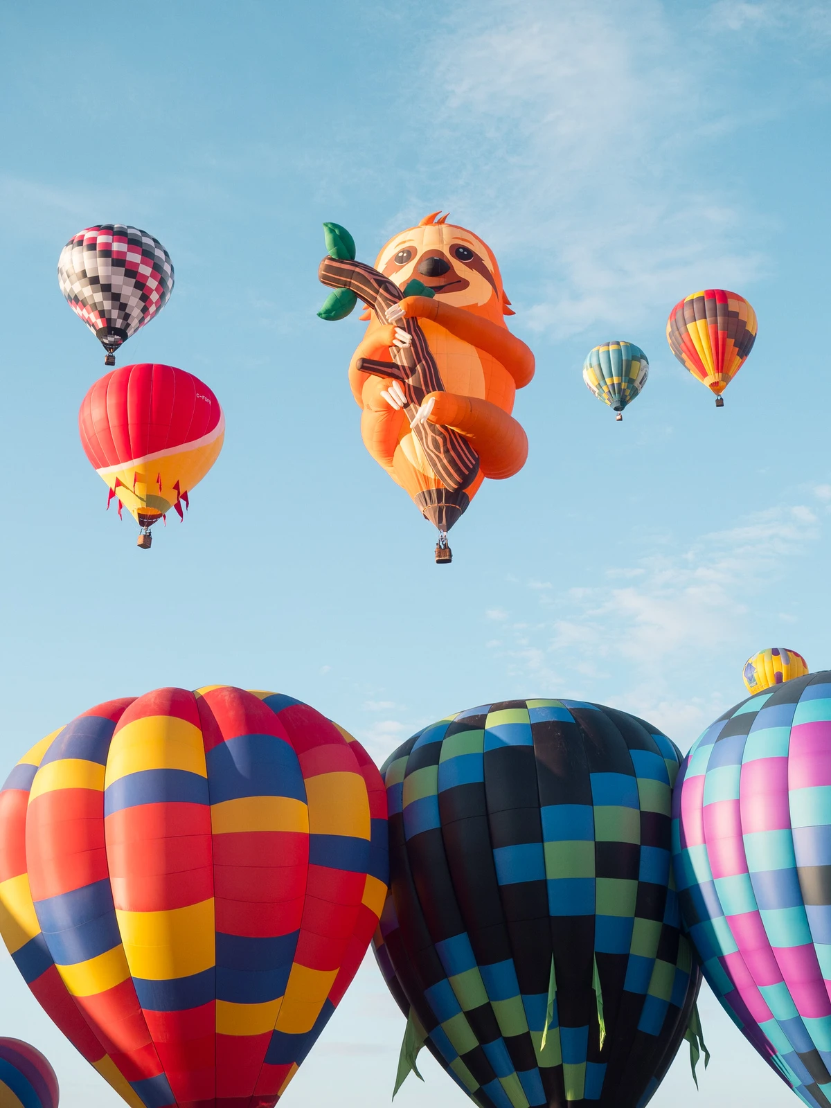 A giant sloth-shaped special-shape hot-air balloon hanging in the sky above a row of patterned balloons on the ground