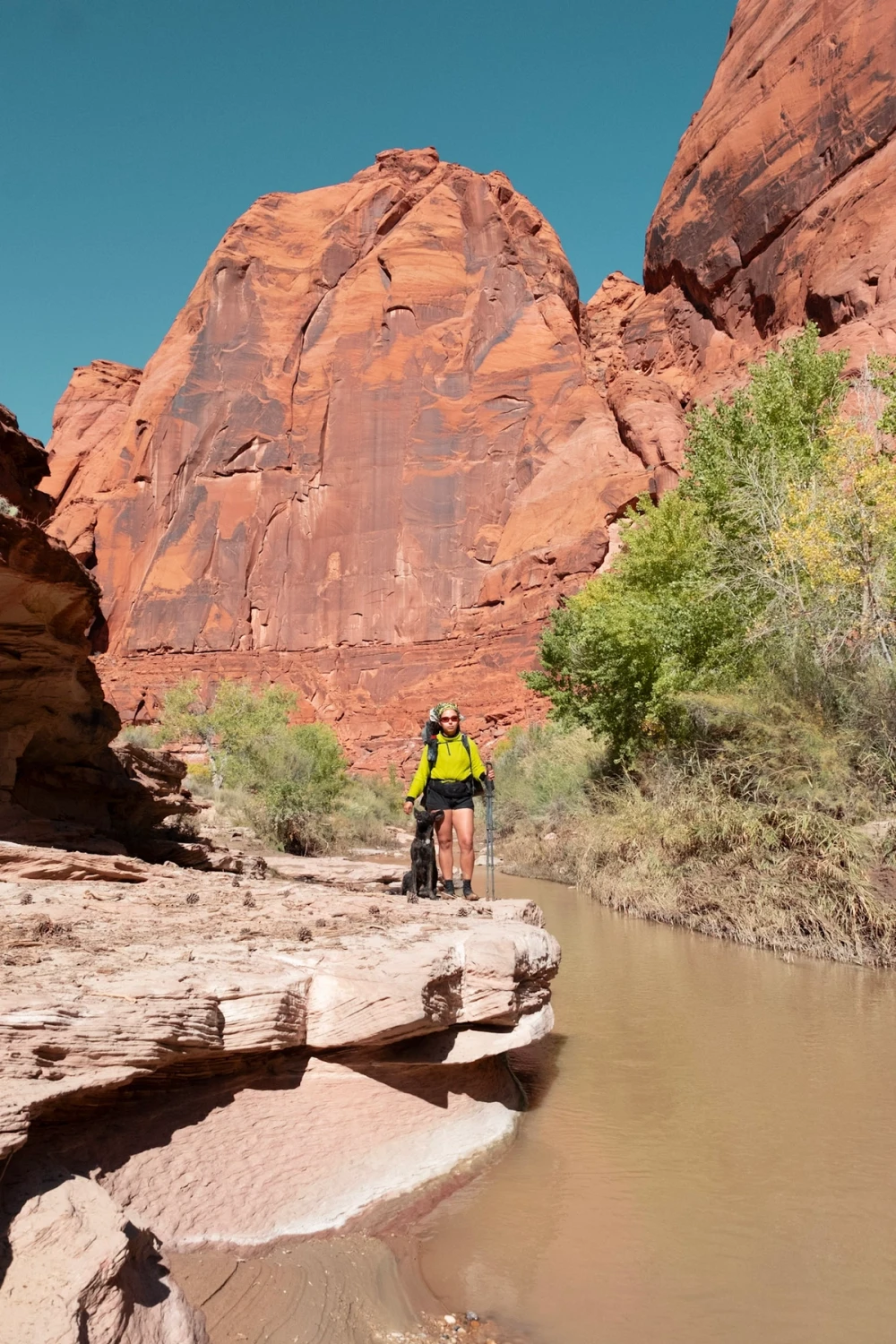 A hiker and dog on a sandstone ledge above the river beneath a red dome and cottonwoods