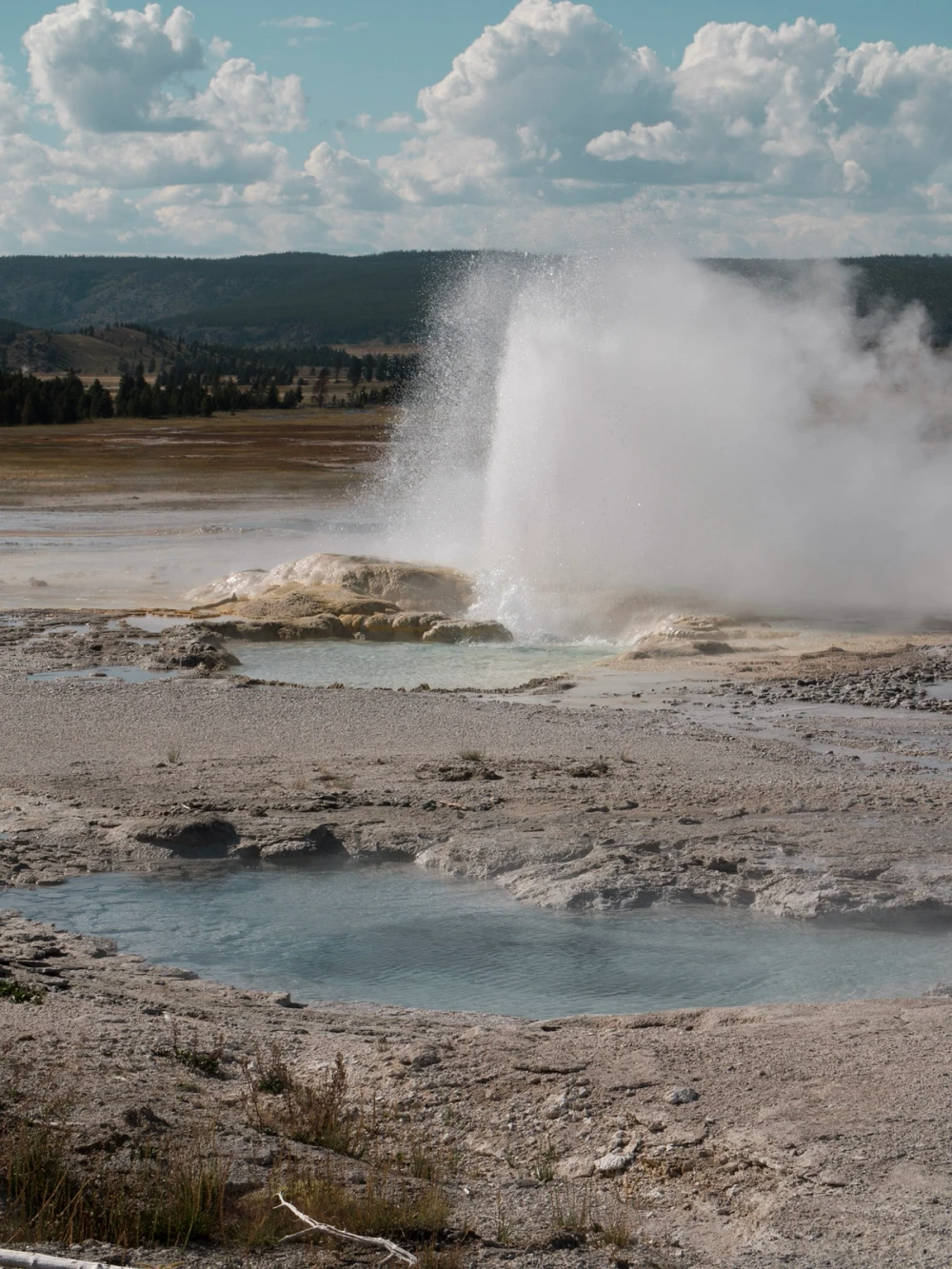 A geyser erupting in a tall fan of water and spray above a pale thermal flat
