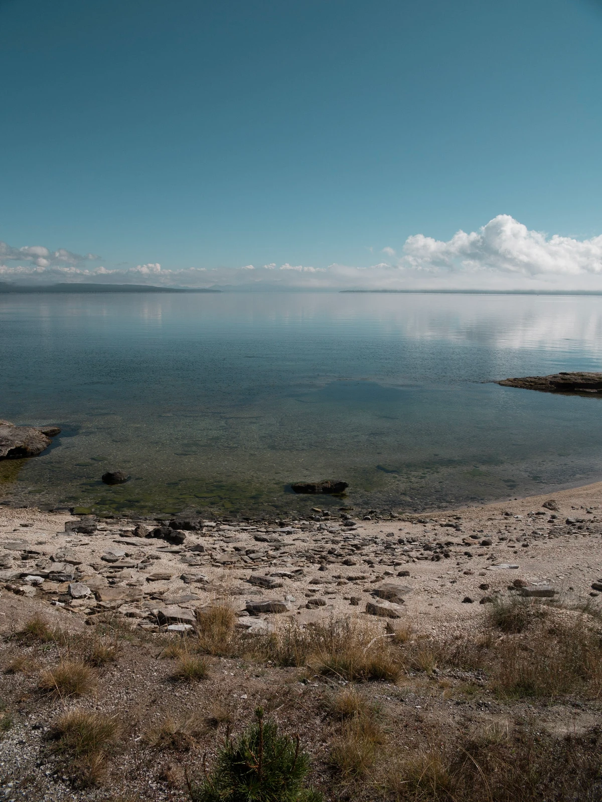 The calm, glassy surface of Yellowstone Lake under a soft sky, with a rocky shoreline in the foreground