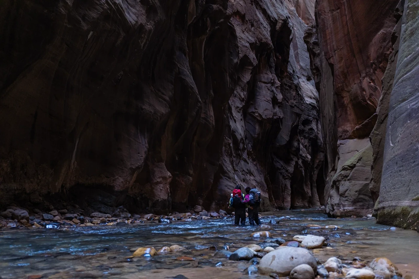 Zion Narrows canyon walls