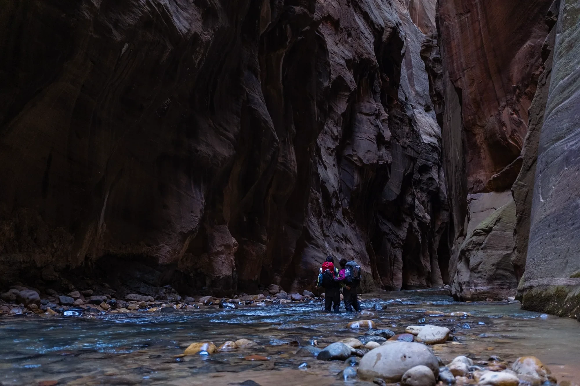 Zion Narrows canyon walls
