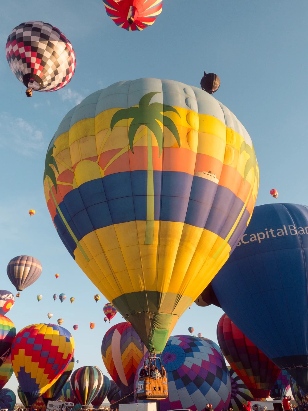 A large palm-tree-patterned balloon among dozens inflating on the Balloon Fiesta field at sunrise, crowds around the baskets