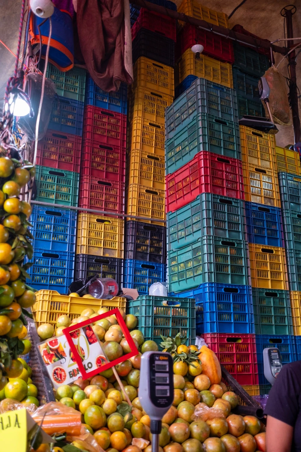 Tall stacks of blue, yellow, and red plastic produce crates rising behind a foreground of oranges and other citrus