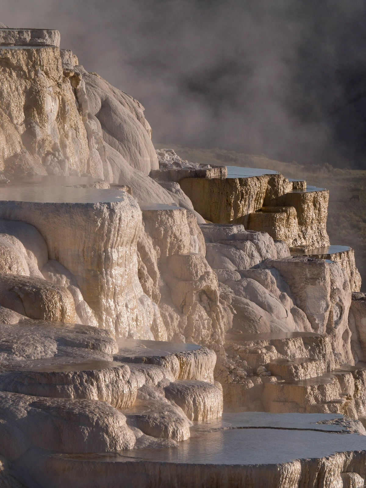 Steaming travertine terraces at Mammoth Hot Springs, warm light raking across the layered white-and-tan steps