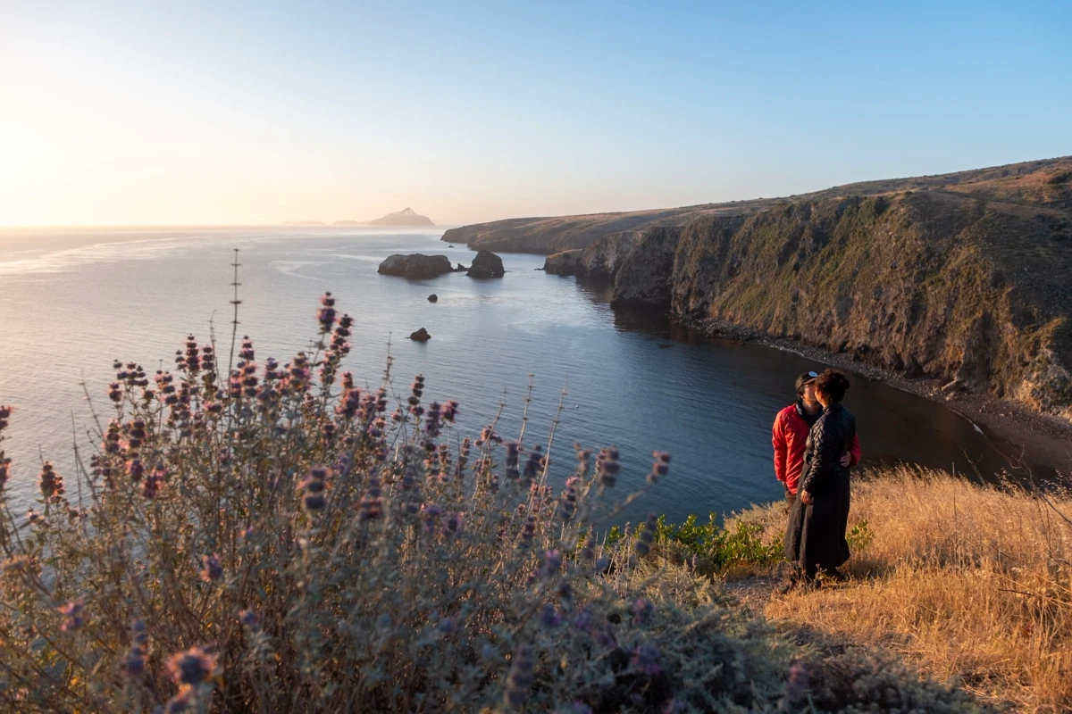 A couple standing together on a golden grassy sea bluff at sunset, looking out over sea cliffs and a cove with offshore rocks, flowering coastal scrub in the foreground