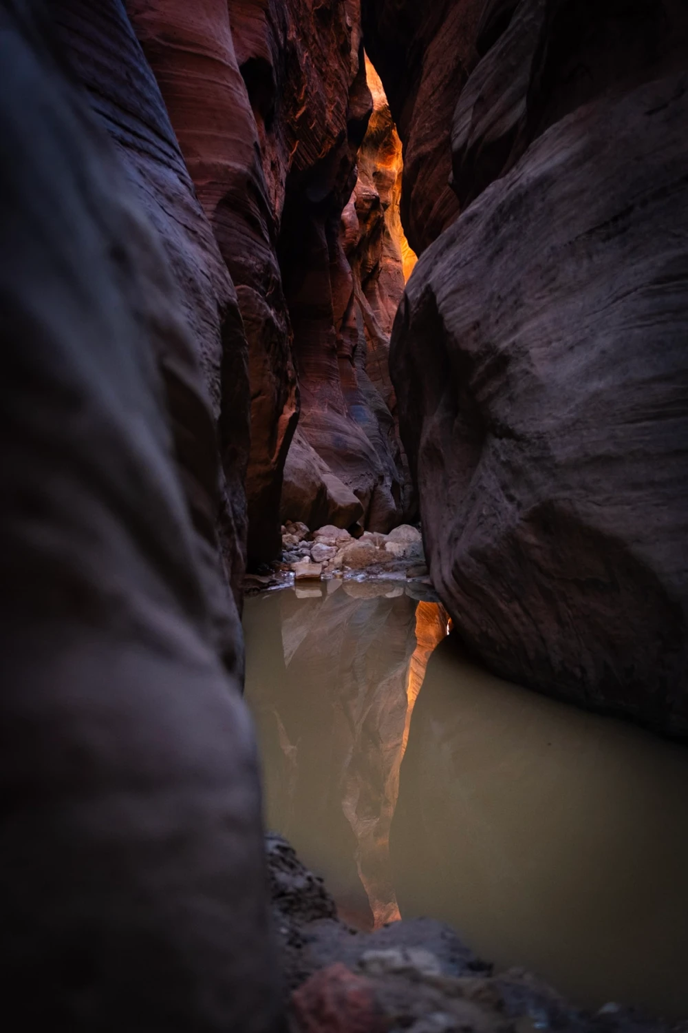 A glowing canyon wall reflected in a still, muddy pool between dark boulders