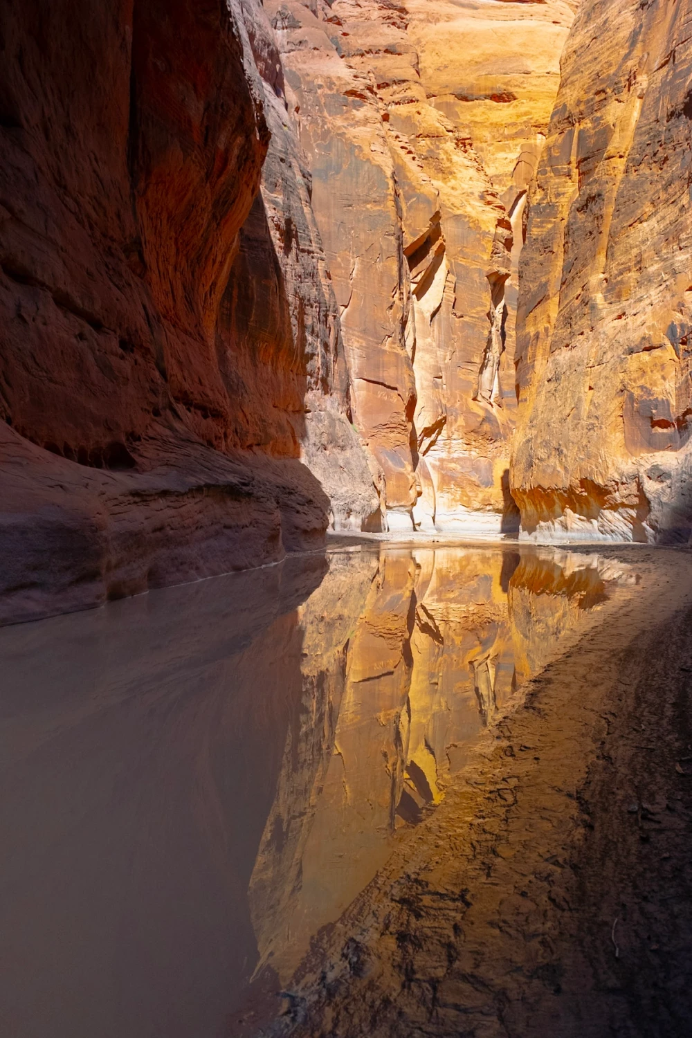A glowing canyon wall mirrored in the calm brown water of the Paria River