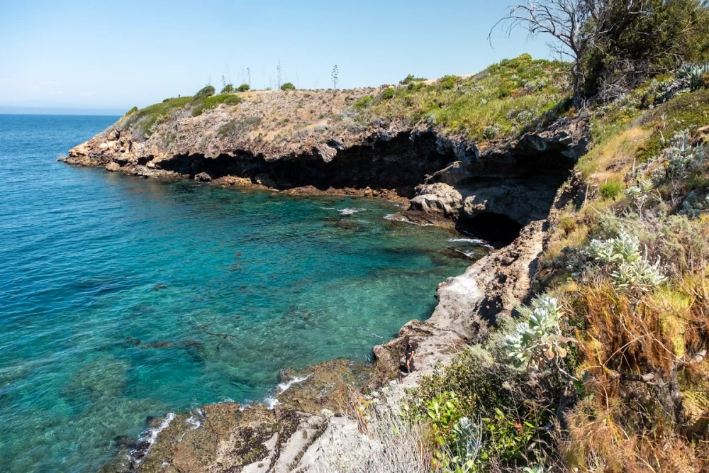 A clear turquoise cove with a sea cave cut into the rocky shoreline, agave and coastal scrub on the cliffs under a bright blue sky