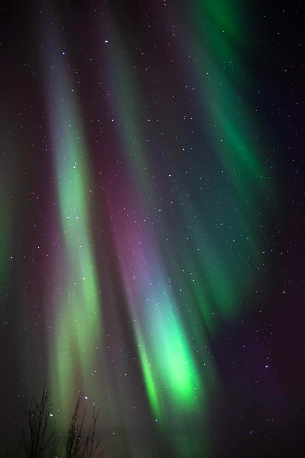A vivid vertical aurora corona of green and purple rays filling the frame among dense stars